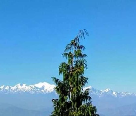 Ferienwohnung The Mountain View Darjeeling  Exterior foto