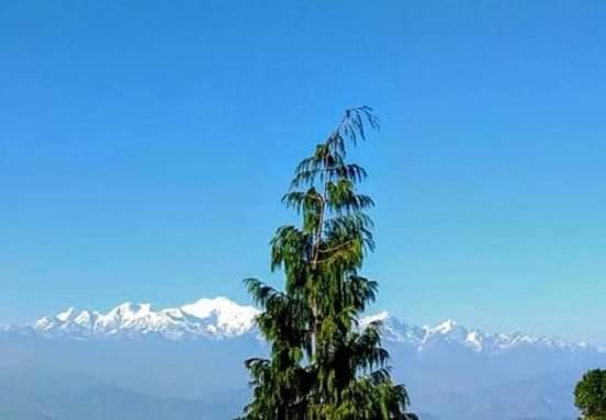 Ferienwohnung The Mountain View Darjeeling  Exterior foto
